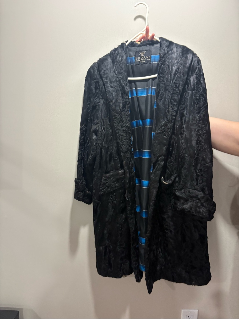 Parisian Black Fur Coat with Silk Blue Interior